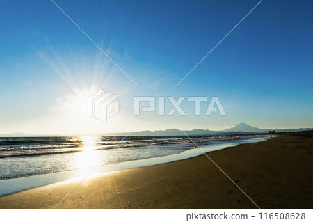 陽光普照的大海和富士山 陽光普照的大海和富士山 116508628