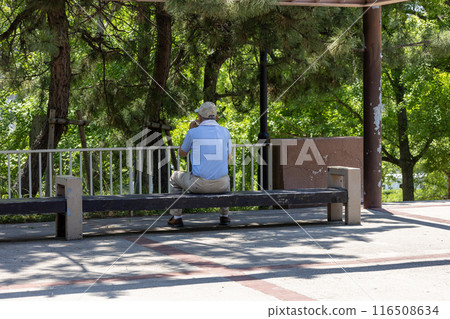 Back view of an elderly man resting on a park bench 116508634