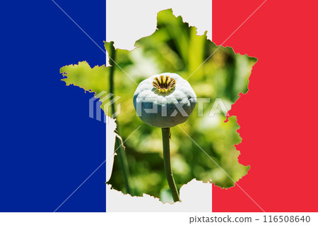 Outline map of the France with the image of the national flag. Image of poppy cob inside card. Collage. The France is a major poppy producer. 116508640