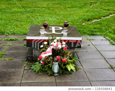 Krakow, Poland - 08.06.2023 116508641