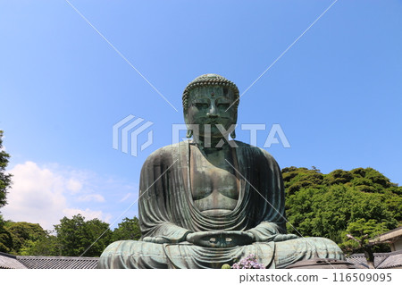 Kamakura Great Buddha 116509095