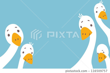 Cartoon goose background. Curious geese peeking, cute interesting characters. Farm birds looking front. Decorative animal nowaday vector banner 116509757