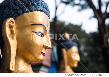 Buddha golden face 116510296