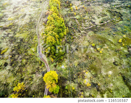 suburb field with trees and rolled road 116510387