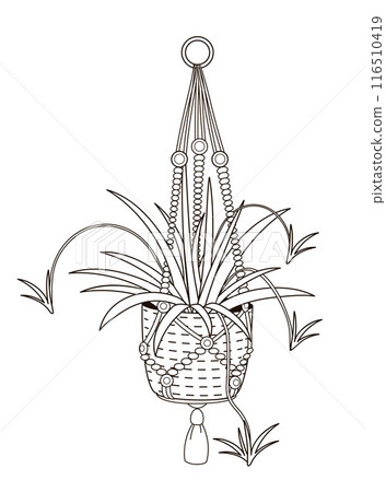 hanging pot in boho style 116510419
