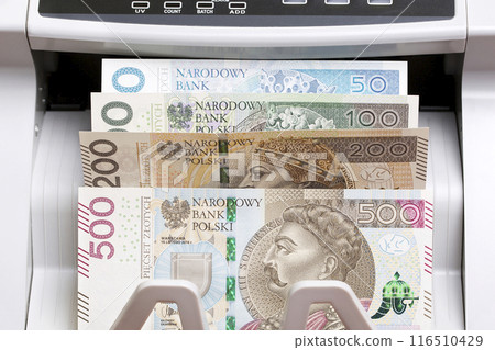 Polish Zloty in the counting machine Polish Zloty in the counting machine 116510429