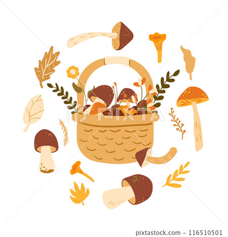 Basket of mushrooms circular emblem isolated on white background. Vector hand drawn flat illustration 116510501