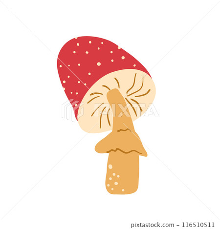 Fairy Tale Mushroom isolated on white background. Fly agaricVector hand drawn flat illustration Fairy Tale Mushroom isolated on white background. Fly agaricVector hand drawn flat illustration 116510511