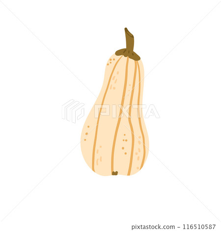 Pumpkin isolated on white background. Textured stylized ripe vegetable harvest. Butternut squash. Vector hand drawn flat illustration 116510587