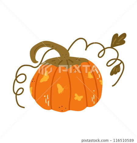 Pumpkin isolated on white background. Textured stylized autumn ripe vegetable decorated butterflies ornament. Vector hand drawn flat illustration 116510589