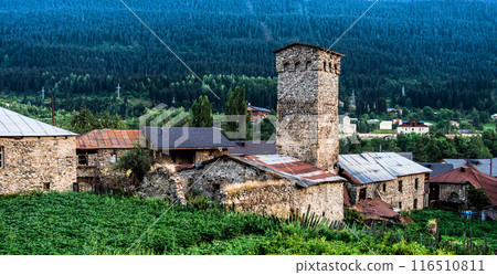 Landscape with Svan tower Landscape with Svan tower 116510811