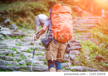 Tourist with backpack on the Annapurna track, Nepal 116510839