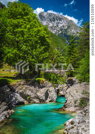 Turquoise Soca river in the valley, near Bovec, Slovenia Turquoise Soca river in the valley, near Bovec, Slovenia 116510899