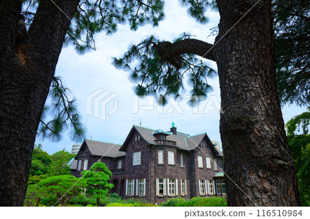 古河庭園內的巨松與西式建築 116510984