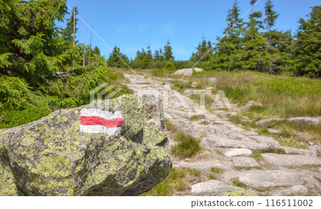 Red trail marker painted on a rock, Karkonosze (Giant Mountains), selective focus, Poland. Red trail marker painted on a rock, Karkonosze (Giant Mountains), selective focus, Poland. 116511002