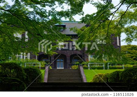 Young maple leaves, fresh greenery and a Western-style building in the Kyu-Furukawa Gardens 116511026