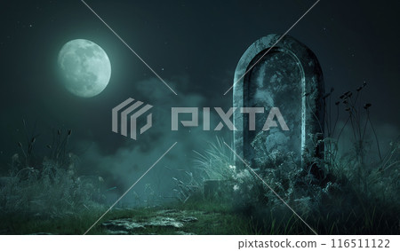 Blank ancient tombstone at night with wild plants and a full moon 116511122
