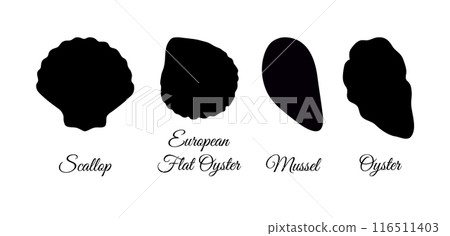 Shellfishes silhouette set. 116511403