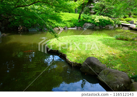 舊古河庭園的嫩葉和新綠倒映在水面上的景色 116512143
