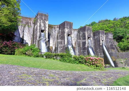 [香川縣] 全國第一座石砌連拱壩－Totoshi Pond Dam（Totoshi Pond Dam）春天杜鵑花盛開 116512148