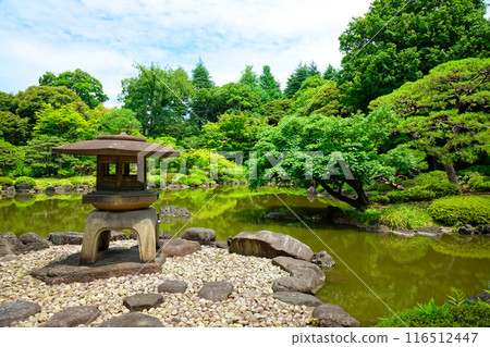Yukimi lanterns and the scenery reflected on the water surface of the Kyu-Furukawa Gardens: young leaves and fresh greenery 116512447
