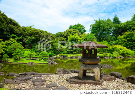 Yukimi lanterns and the scenery reflected on the water surface of the Kyu-Furukawa Gardens: young leaves and fresh greenery 116512448