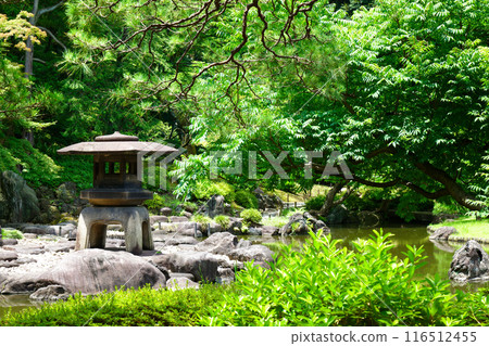 Yukimi lanterns and the scenery reflected on the water surface of the Kyu-Furukawa Gardens: young leaves and fresh greenery 116512455