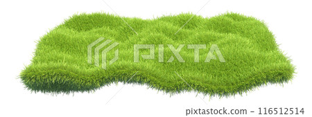 a square piece of cut grass. 3d illustration 116512514