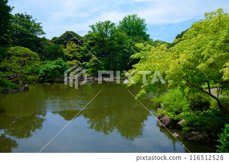 Yukimi lanterns and the scenery reflected on the water surface of the Kyu-Furukawa Gardens: young leaves and fresh greenery 116512528