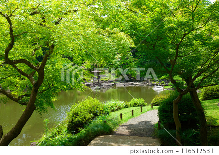 Yukimi lanterns and young leaves in the Kyu-Furukawa Gardens 116512531