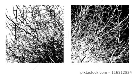 Background bare tree branches. Not AI, Vector illustration 116512824