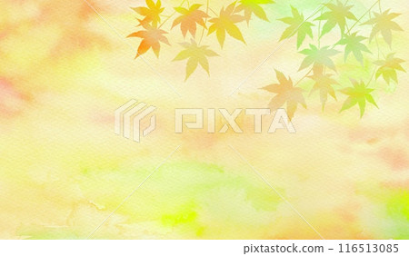 Autumn frame with beautifully colored maples at autumn sunset. Watercolor illustration. 116513085
