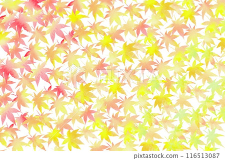 A colorful maple pattern on a white background. A watercolor illustration that expresses the beauty of autumn leaves. 116513087