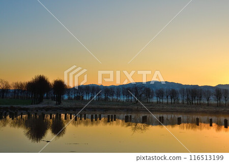 Fukushima-dora in the morning (Niigata) 116513199