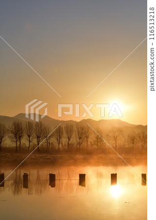 Fukushima-dora in the morning (Niigata) Fukushima-dora in the morning (Niigata) 116513218