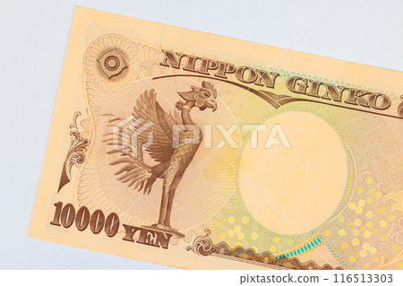 Notes issued by Nippon Ginko national bank in denomination of ten thousand yen rear view Notes issued by Nippon Ginko national bank in denomination of ten thousand yen rear view 116513303