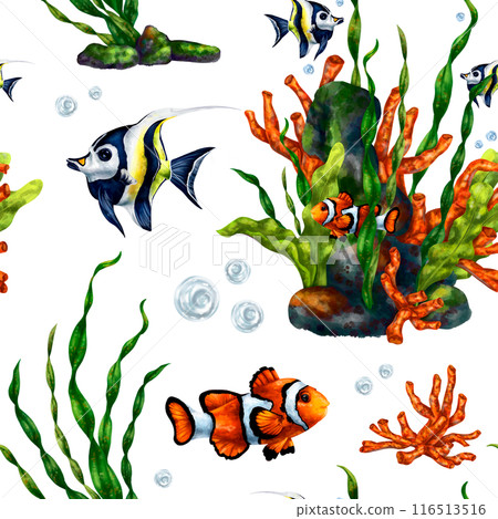 Colorful sea fish in the ocean. Tropical waterfowl among green algae . Underwater life, diving and snorkeling, traveling to exotic places. Seamless pattern, digital illustration Colorful sea fish in the ocean. Tropical waterfowl among green algae . Underwater life, diving and snorkeling, traveling to exotic places. Seamless pattern, digital illustration 116513516