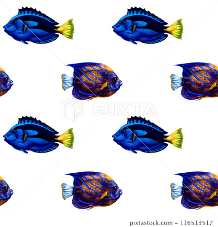 Seamless pattern with colorful tropical blue fish. Marine underwater life, travel, diving, exotic places. Illustration for textiles, fabrics, banners, wrapping paper, wallpaper Seamless pattern with colorful tropical blue fish. Marine underwater life, travel, diving, exotic places. Illustration for textiles, fabrics, banners, wrapping paper, wallpaper 116513517