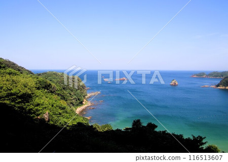 Coastal scenery off the coast of Shimoda 116513607