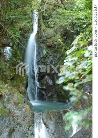 The elegant waterfall and pool can be seen between the rocks. The elegant waterfall and pool can be seen between the rocks. 116513637