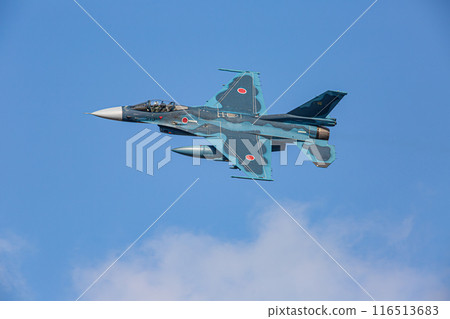 戰鬥機在天空中飛行 116513683