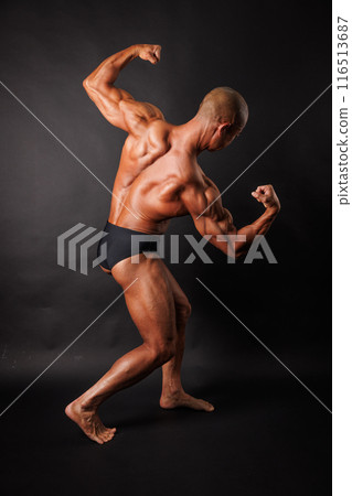 Back muscles Back muscles 116513687