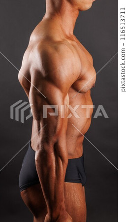 Triceps brachii Pectoralis major 116513711