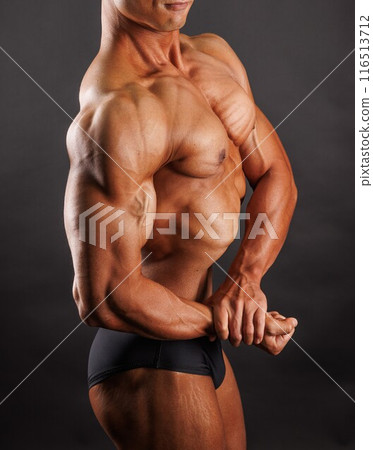 Pectoral muscle 116513712