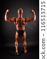 背部肌肉 116513715