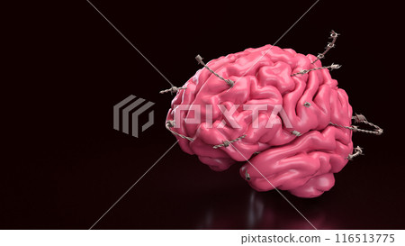 The Brain and barbed wire for sci or medical concept 3d rendering. The Brain and barbed wire for sci or medical concept 3d rendering. 116513775