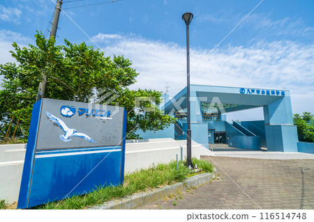 「青森縣」八戶市水產科學館Marient入口 「青森縣」八戶市水產科學館Marient入口 116514748