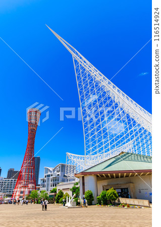 Kobe Port Tower and Kobe Maritime Museum in Meriken Park, Kobe City, Hyogo Prefecture 116514924