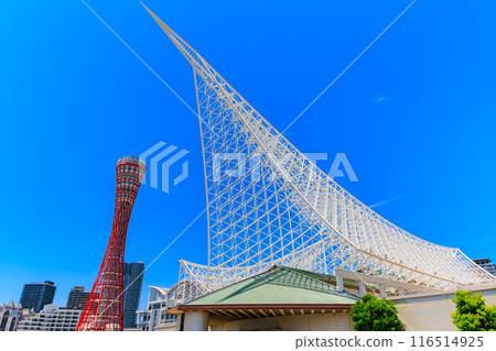Kobe Port Tower and Kobe Maritime Museum in Meriken Park, Kobe City, Hyogo Prefecture 116514925