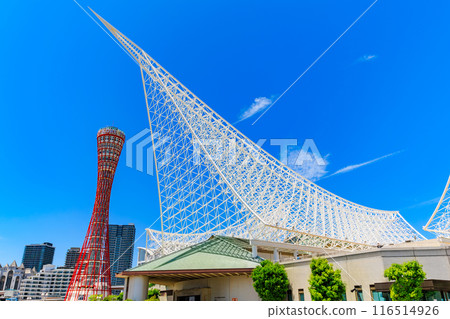 Kobe Port Tower and Kobe Maritime Museum in Meriken Park, Kobe City, Hyogo Prefecture 116514926